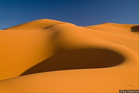 Adrouine, blue sky, clouds, Erg Chebbi, Mekn&egrave;s-Tafilalet, Merzouga, morning light, Morocco, Marokko