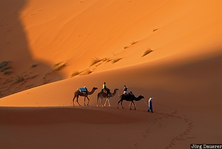 Adrouine, Mekn&egrave;s-Tafilalet, Morocco, camel caravan, camels, caravan, clouds, Marokko