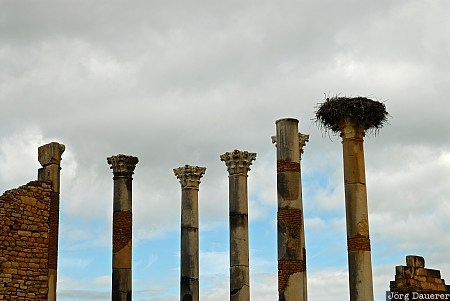 Douar Doukkara, Mekn&egrave;s-Tafilalet, Morocco, archaeological site, clouds, columns, nest