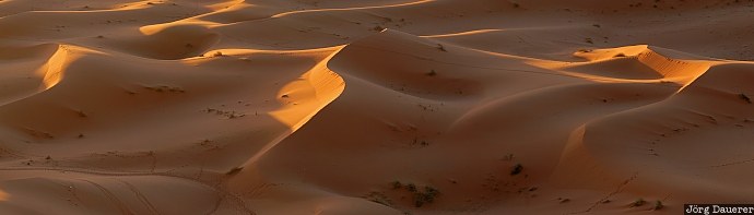 Erg Chebbi, Adrouine, Mekn&egrave;s-Tafilalet, Morocco, Merzouga, morning light, pattern, sahara, sand dunes, panorama