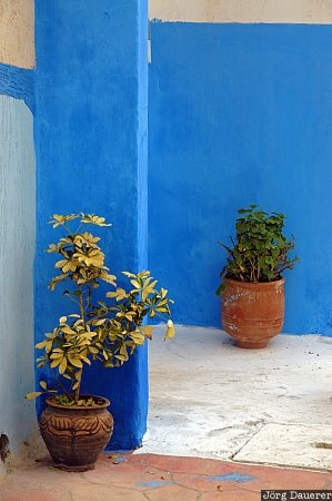 Morocco, Ouda&iuml;a, Rabat-Sal&eacute;-Zemmour-Za&euml;r, blue, flower pots, Kasbah des Oudaias, wall