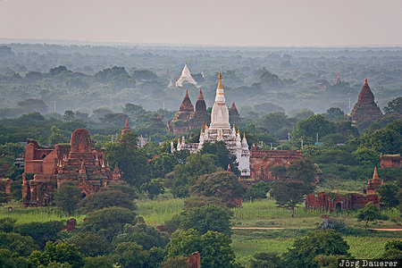 Mandalay-Region, MMR, Myanmar, Myene, Bagan, fog, green, Burma