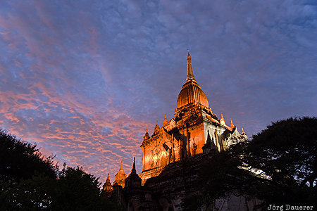 Gawdawpalin Temple Bagan, Mandalay-Region, MMR, Myanmar, flood-lit, Gawdawpalin Temple, morning light, Burma