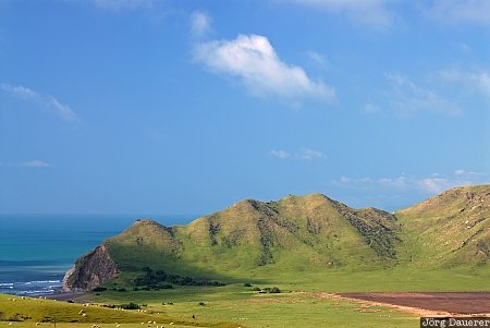 New Zealand, North Island, clouds, coast, East Cape, Eastland, farmland, Neuseeland