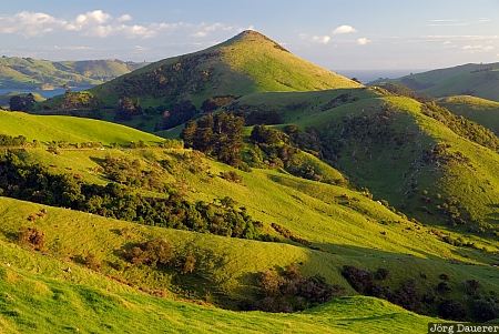 New Zealand, Otago, Portobello, clouds, farmland, green, Harbour Cone, Neuseeland
