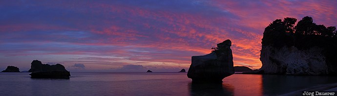 Mares Leg Cove beach, Cathedral Cove, coast, Cooks Beach, Coromandel, Coromandel Peninsula, Mares Leg Cove, New Zealand, Neuseeland