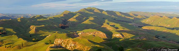 Green Farmland green, Green Farmland, Havelock North, hawk's bay, hills, morning light, New Zealand, Neuseeland