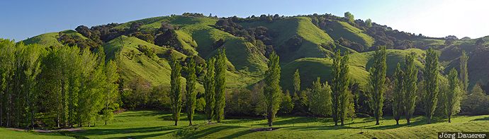 Bay of Plenty, blue sky, farmland, green, hills, morning light, North Island, New Zealand, Neuseeland