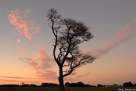 Australia, Victoria, Great Ocean Road, silhouette, sky, red clouds, sunrise