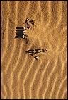 Wreck Beach
