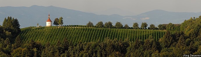 Austria, chapel, church, grapes, Hochbrudersegg, Kitzeck, Styria, &Ouml;sterreich, Oesterreich