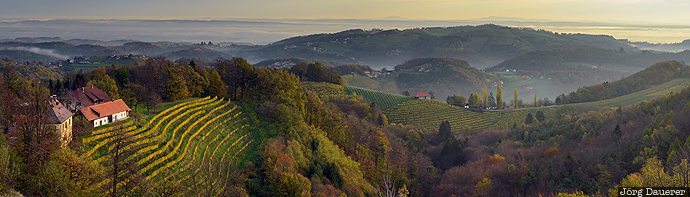 Austria, AUT, autumn, farm house, fog, Gauitsch, Kitzeck, &Ouml;sterreich, Oesterreich