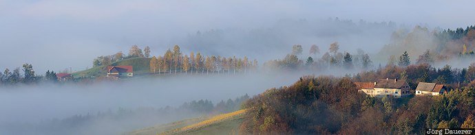 Austria, AUT, autumn, fog, forest, F&ouml;tschach, hills, &Ouml;sterreich, Oesterreich