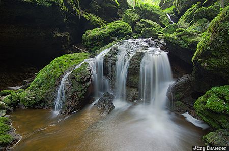 Austria, AUT, Salzburg, Spanswag, green, mossy, motion, &Ouml;sterreich, Oesterreich