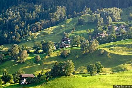 Austria, Tirol, Bichl, Matrei in Osttirol, Osttirol, alpine meadow, evening light