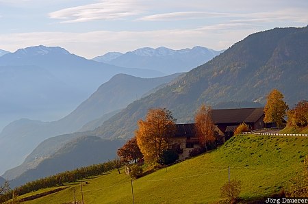 autumn, Birchabruc, bolzano, bozen, Brie, colors, evening light, Italy, Italien, Italia