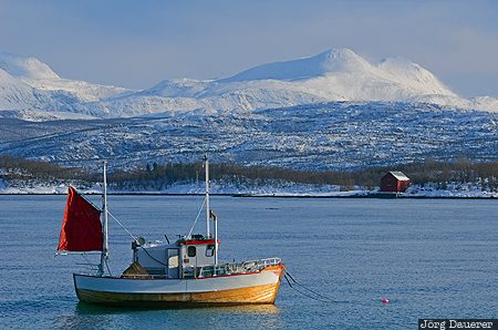 Boat NOR, Nordvika, Norway, Sørvik, Troms, boat, fishing boat, Nordland, Norwegen, Norge