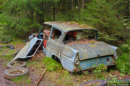 Almundsryd, Blekinge, Ryd, SWE, Sweden, Bilkyrkog&aring;rden Kyrk&ouml; Mosse, blue