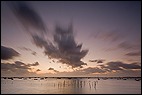 Bassin d'Arcachon Sunrise