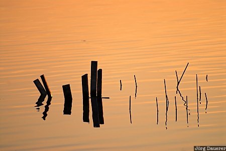 lake, ammersee, shore, pole, reed, sunset, Aidenried, Germany, Bavaria, Deutschland, Bayern
