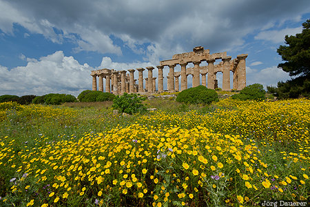 Selinunte ITA, Italy, Marinella, Sicily, dark clouds, flowers, Greek, Italien, Italia, Sizilien, Sicilia