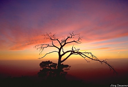 Troodos, sunset, tree, colorful sunset, cyprus, mountains, clouds, Zypern