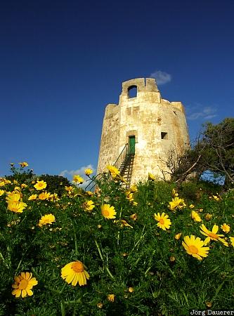 Torre di Chia Italy, Sardinia, green, yellow, clouds, sky, blue sky, Italien, Italia, Sardinien, Sardegna