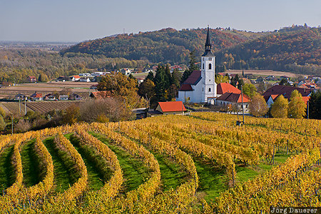 Slovenia, SVN, Zavrc, autumn, church, Haloze, Sauritsch, Spodnja tajerska