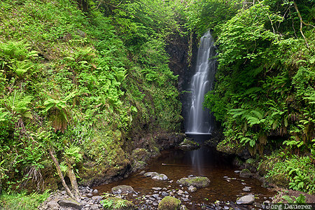 Carnlough, GBR, Glenariff, Glens of Antrim, Northern Ireland, United Kingdom, Cranny Falls, Gro&szlig;britannien, Vereinigtes K&ouml;nigreich, Grossbritannien, Vereinigtes Koenigreich