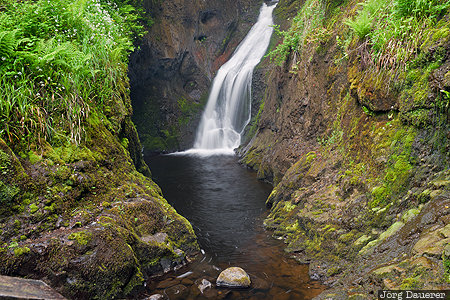GBR, Glenariff, Northern Ireland, United Kingdom, Ess-Na-Laragh, Glenariff Forest Park, green, Glens of Antrim, Gro&szlig;britannien, Vereinigtes K&ouml;nigreich, Grossbritannien, Vereinigtes Koenigreich