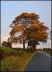 Peak District