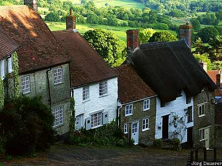 Gold Hill house, reed, green, Shaftsbury, Dorset, Gold Hill, england, United Kingdom, Großbritannien, Vereinigtes Königreich, Grossbritannien, Vereinigtes Koenigreich