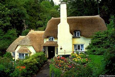 Selworthy, Somerset, England, UK, GB, house, reed, United Kingdom, Gro&szlig;britannien, Vereinigtes K&ouml;nigreich, Grossbritannien, Vereinigtes Koenigreich