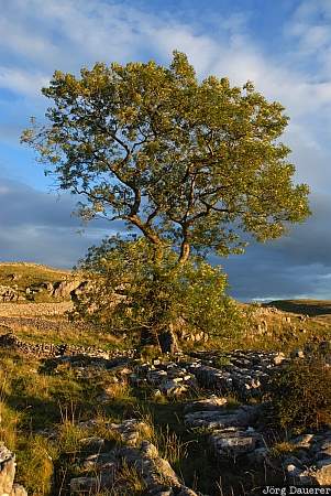 England, Yorkshire, Winskill Stones, limestone, stone, clouds, sky, United Kingdom, Settle, Gro&szlig;britannien, Vereinigtes K&ouml;nigreich, Grossbritannien, Vereinigtes Koenigreich