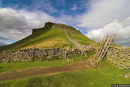Pen-y-Ghent United Kingdom, England, Yorkshire Dales, clouds, sky, blue sky, drystone wall, Yorkshire, Großbritannien, Vereinigtes Königreich, Grossbritannien, Vereinigtes Koenigreich