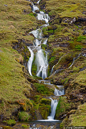 Faroe Islands, FRO, H&uacute;sar, Kunoy, green, meadow, north atlantic, F&auml;r&ouml;er-Inseln, Faeroeer-Inseln