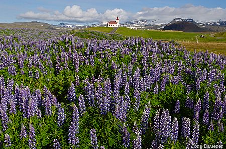 Ingjaldshólskirkja ISL, Iceland, Ólafsvík, Snæfellsnes, Snæfellsnes Peninsula, blue sky, chapel, Vesturland, Ingjaldshóll, Ingjaldsholl