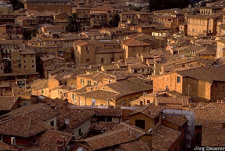 Siena, downtown, last light of the day, evening, Tuscany, Italy, Italien, Italia