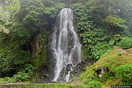 Achada, Azores, Portugal, PRT, flowing water, green, Parque Natural da Ribeira dos Caldeir&otilde;es