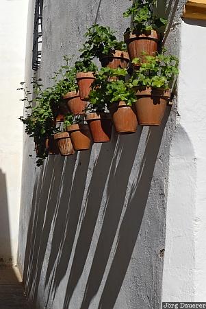 Spain, Andalusia, Cordoba, flower, flower pot, flowerpot, shadow, Spanien, Espana, Andalucia, Andalusien, Cordova