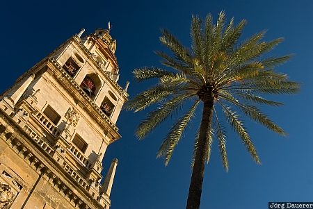 Spain, Andalusia, Cordoba, bell tower, blue sky, campanario, church, Spanien, Espana, Andalucia, Andalusien, Cordova