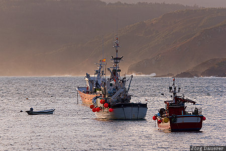 ESP, Galicia, Malpica, Malpica De Berganti&ntilde;os, Spain, atlantic ocean, boats, Spanien, Espana