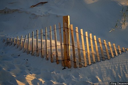 Sand Fence in Dennis Sand Fence in Dennis, Dennis, Massachusetts, North Dennis, United States, USA, beach, cape cod, cape cod bay, evening light
