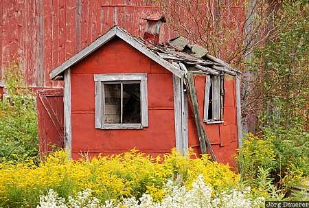 USA, Vermont, Lowell, red, yellow, ruin, farm, United States, Vereinigte Staten, VT