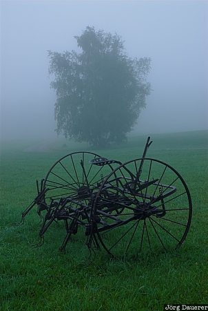 Fog in the Green Mountains Fog, Tree, wheels, Vermont, Green Mountains, New England, United States