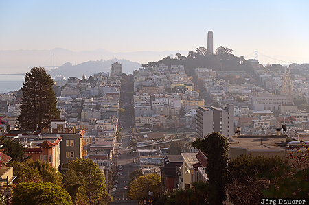 Coit Tower California, Russian Hill, San Francisco, United States, USA, Coit Tower, Lombard Street, Vereinigte Staten, Kalifornien, CA