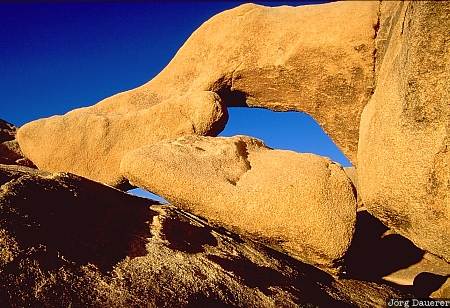 Arch Rock, rocks, Joshua Tree National Park, California, United States, morning light, arch, Mojave Desert