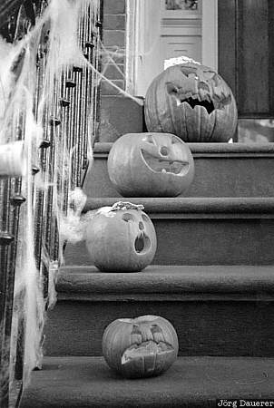 Halloween, Pumpkin, Manhattan, New York, stairs, autumn, carved, United States, USA, Vereinigte Staten, NY, New York City, Big Apple