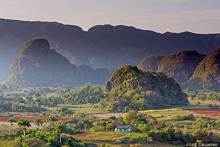 CUB, Cuba, Pinar del R&iacute;o, Vega Larga, evening light, green, limestone cliffs, Vi&ntilde;ales, Kuba, Pinar del Rio, Vinales