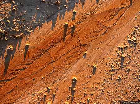 Dried soil, earth, soil, surface, crust, Badlands National Park, South Dakota